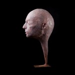 fiberglass and mixed media H 66cm 2016.jpg