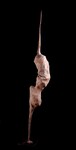 fiberglass and mixed media H 200cm 2017.jpg