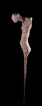 fiberglass and mixed media H 197cm 2017.jpg
